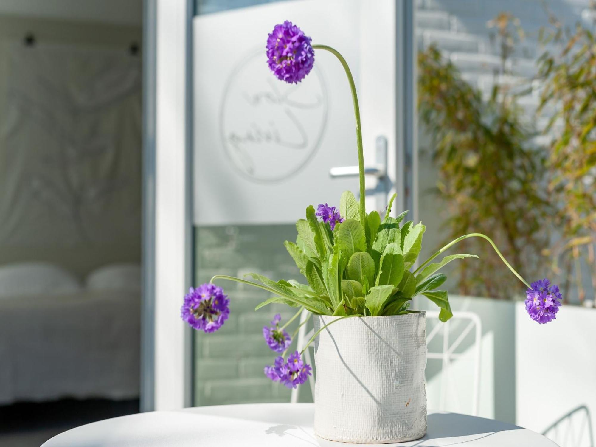 Pleasaing Holiday Home In Oostkapelle Near Centre Exteriör bild